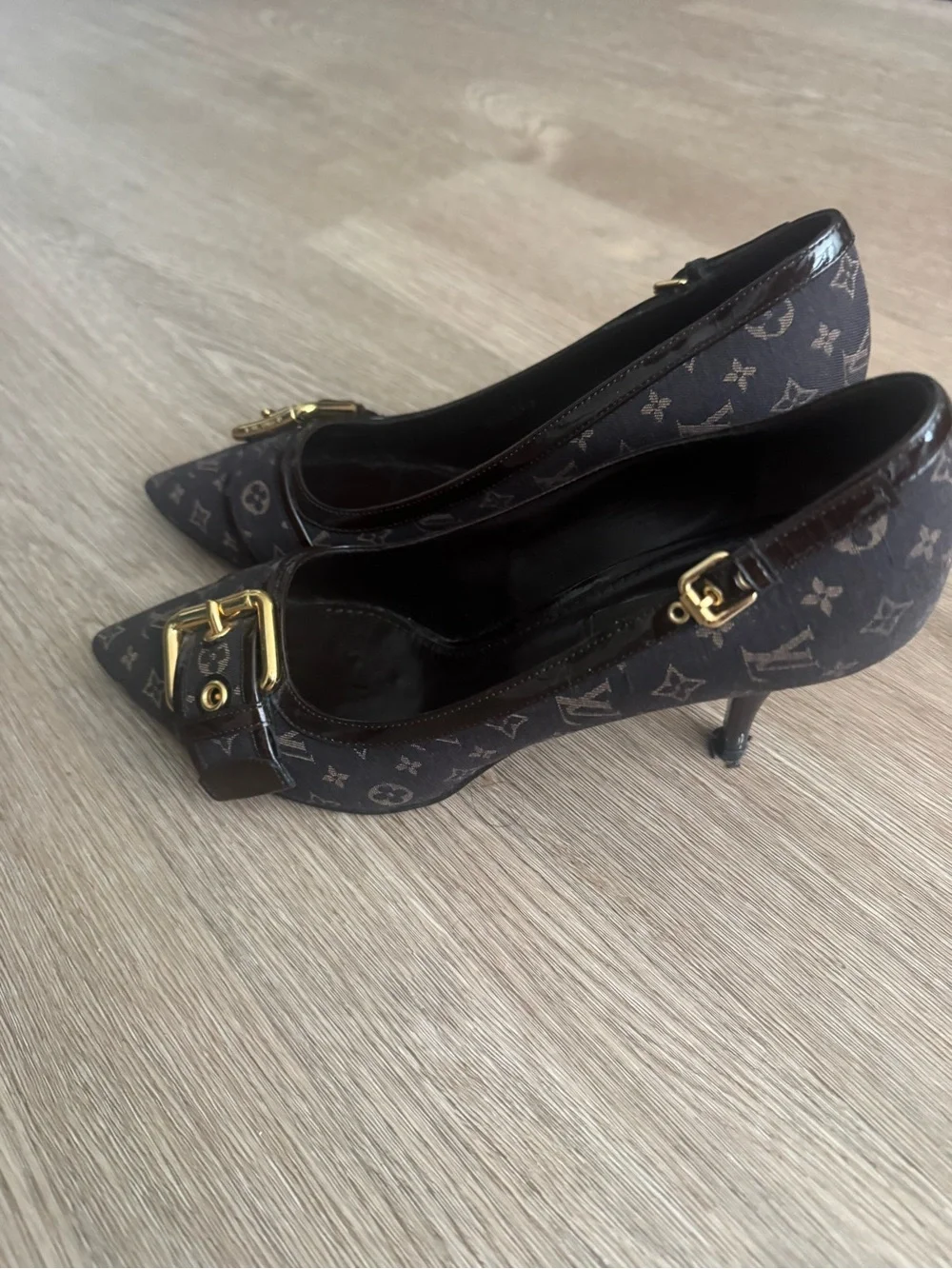 Louis Vuitton classic louis